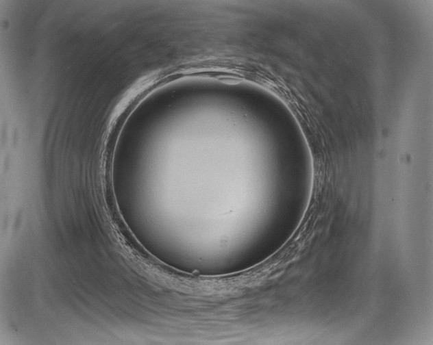 X0000084050006200702161518