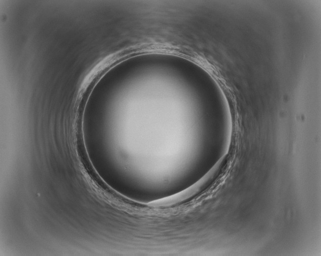 X0000084050007200702161518