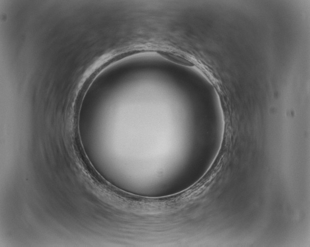 X0000084050008200702161518