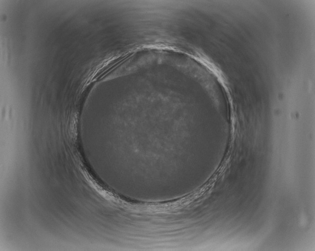 X0000084050009200702161518