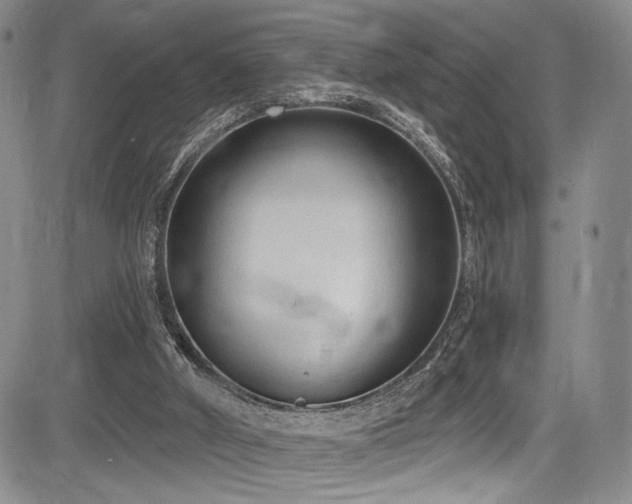 X0000084050010200702161518