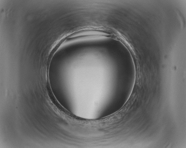 X0000084050011200702161518