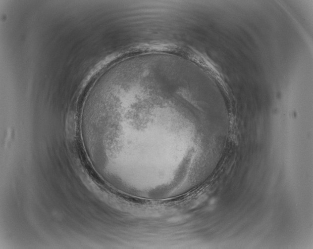 X0000084050012200702161518