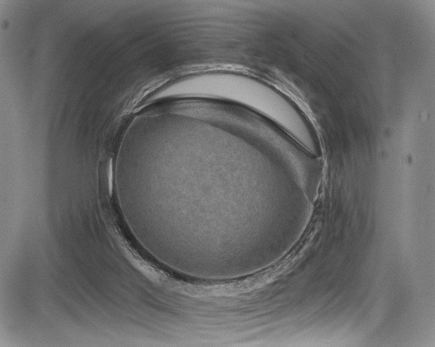 X0000084050013200702161518