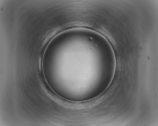 X0000084050014200702161518