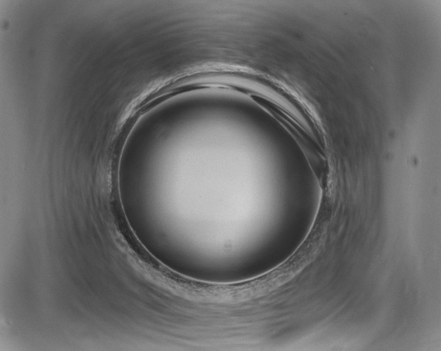 X0000084050015200702161518