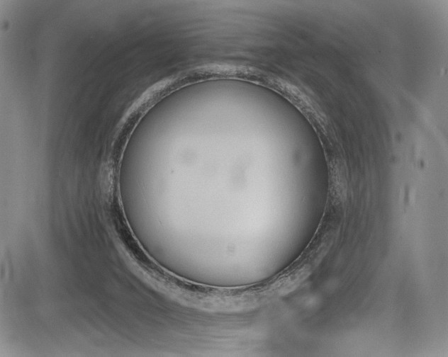 X0000084050016200702161518