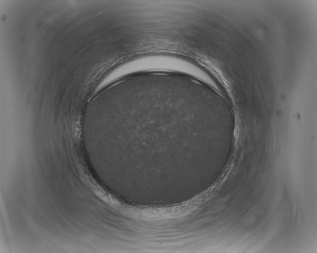 X0000084050017200702161518