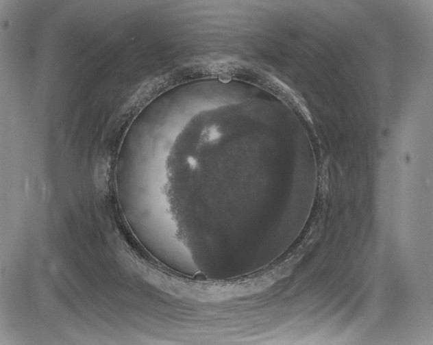 X0000084050018200702161518