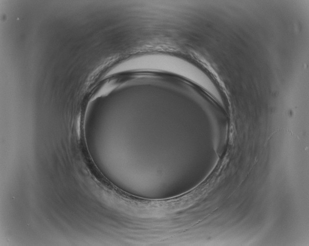 X0000084050019200702161518