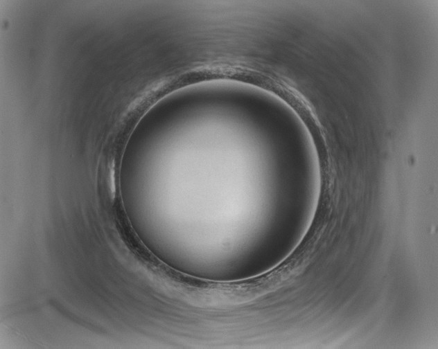 X0000084050020200702161518