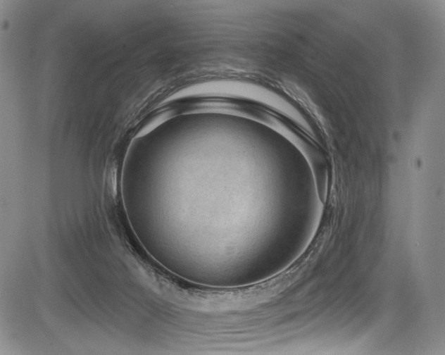 X0000084050021200702161518