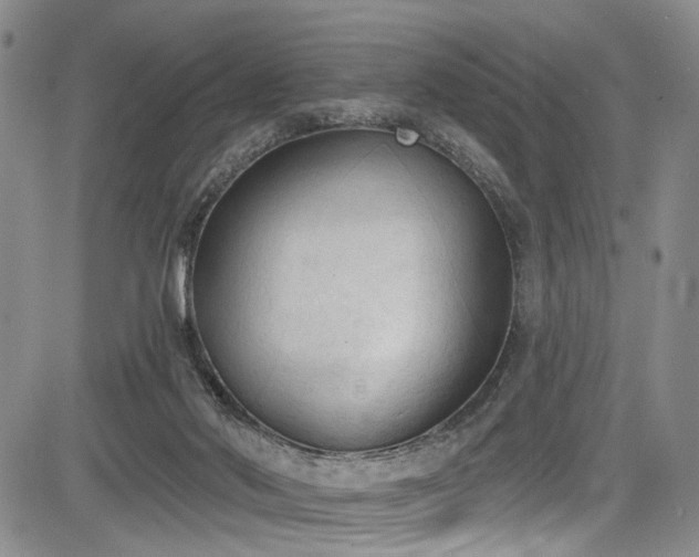 X0000084050022200702161518