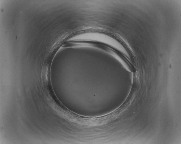 X0000084050023200702161518