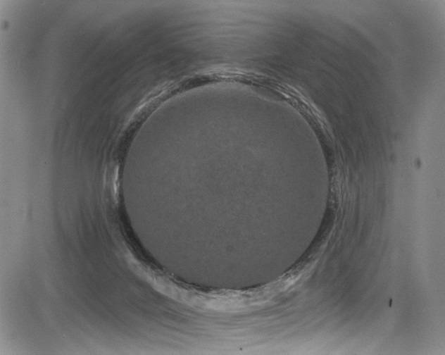 X0000084050024200702161518