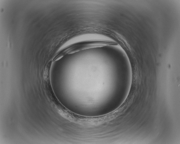 X0000084050025200702161518