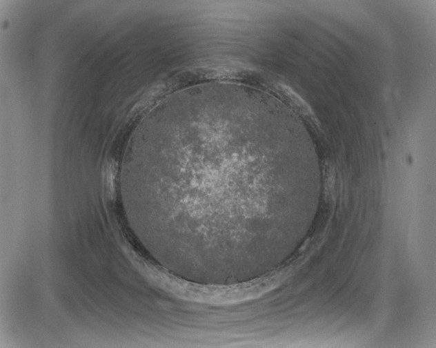 X0000084050026200702161518