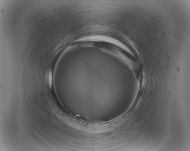 X0000084050027200702161518