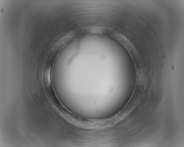 X0000084050028200702161518