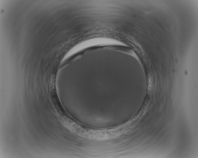 X0000084050029200702161518