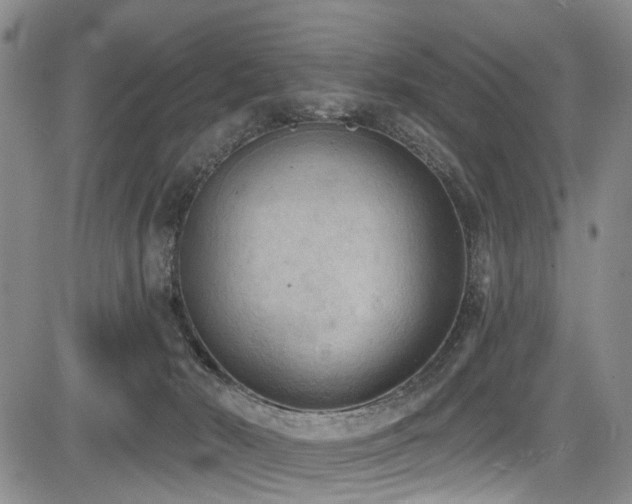 X0000084050030200702161518