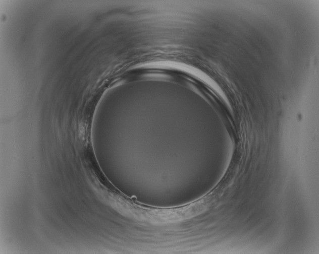 X0000084050031200702161518