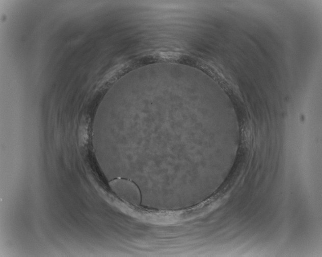 X0000084050032200702161518