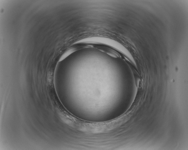 X0000084050033200702161518