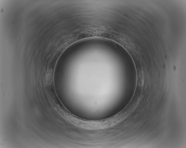 X0000084050034200702161518