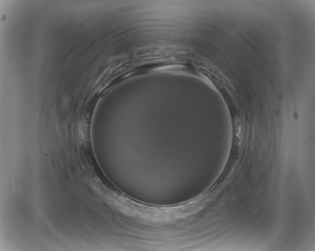 X0000084050035200702161518