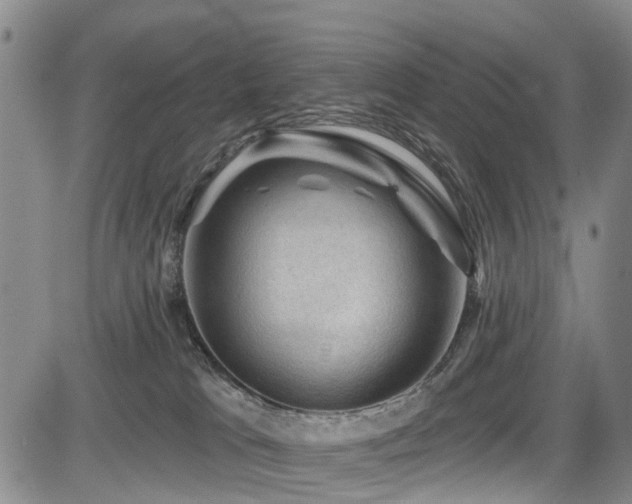 X0000084050037200702161518