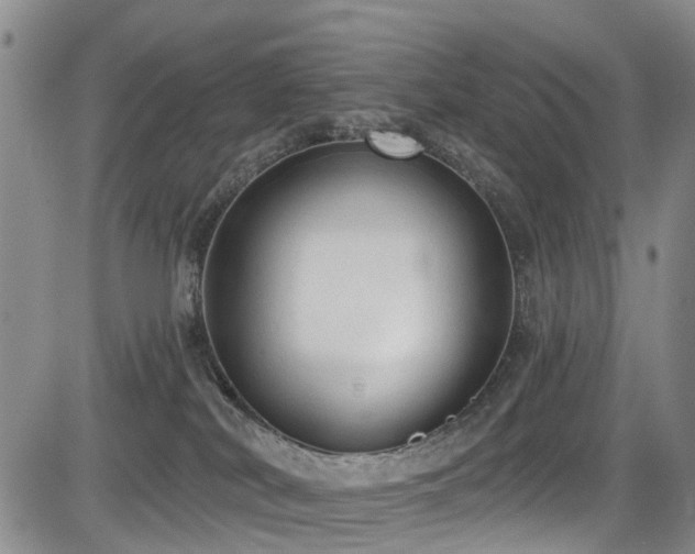 X0000084050038200702161518