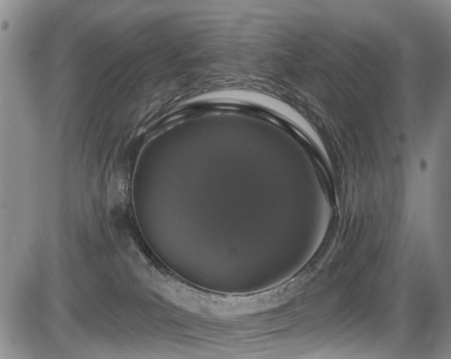 X0000084050039200702161518