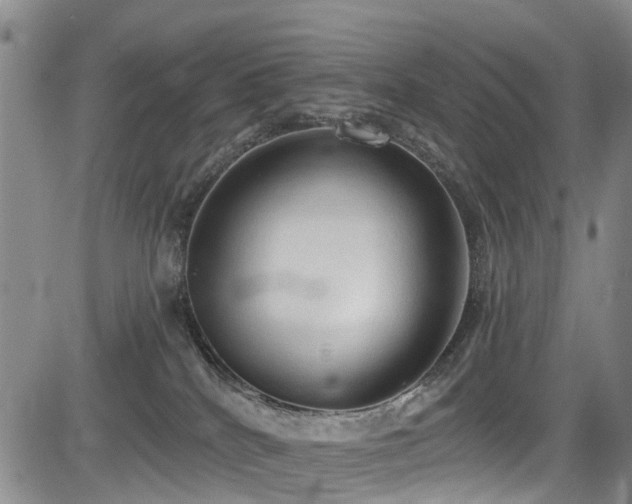 X0000084050040200702161518