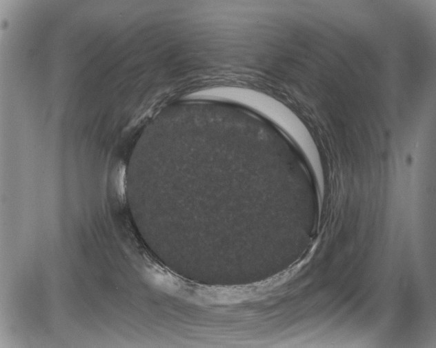 X0000084050041200702161518