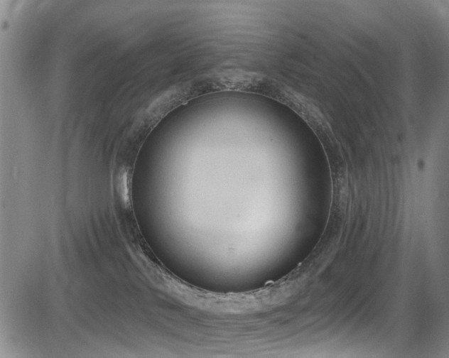 X0000084050042200702161518