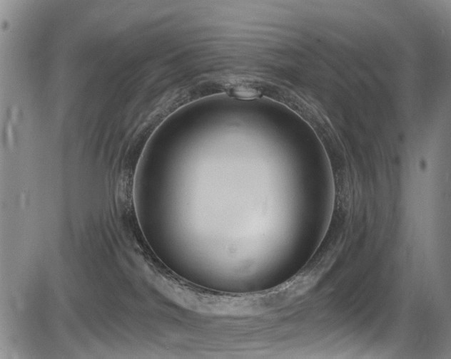 X0000084050044200702161518