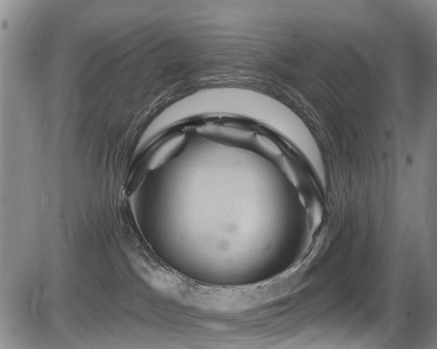 X0000084050045200702161518