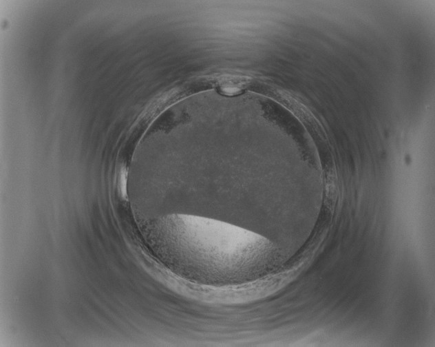 X0000084050046200702161518