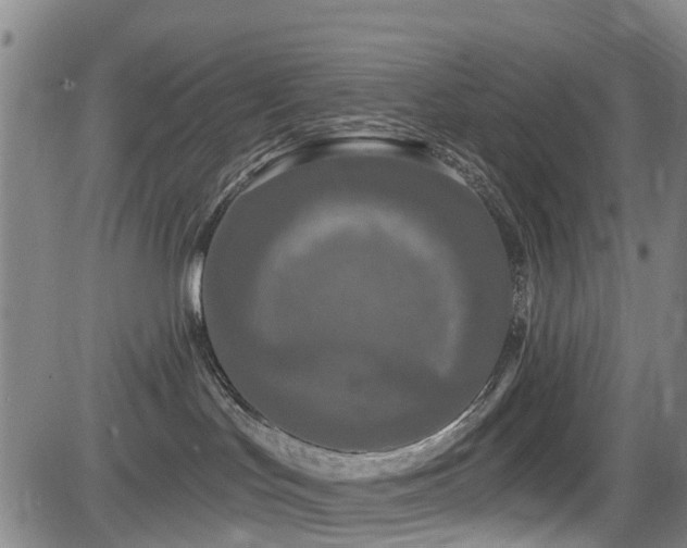 X0000084050047200702161518