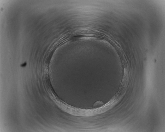 X0000084050048200702161518