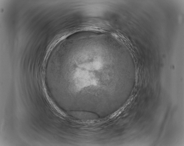 X0000084050049200702161517