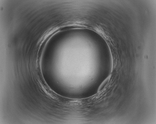 X0000084050050200702161517