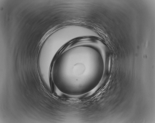 X0000084050051200702161517