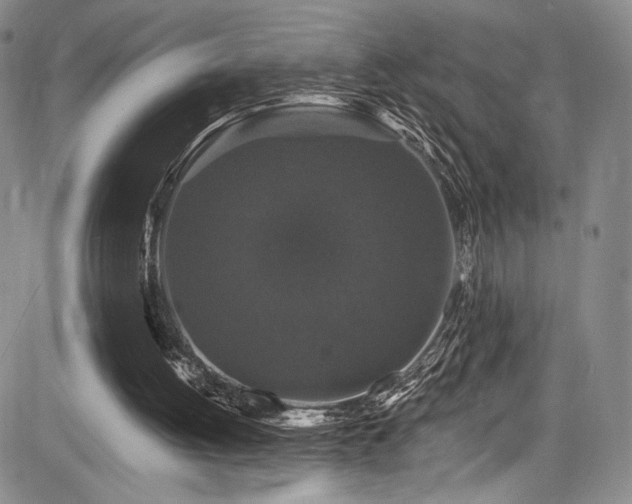 X0000084050052200702161517