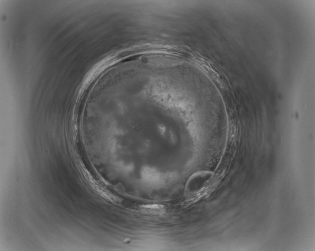 X0000084050053200702161517