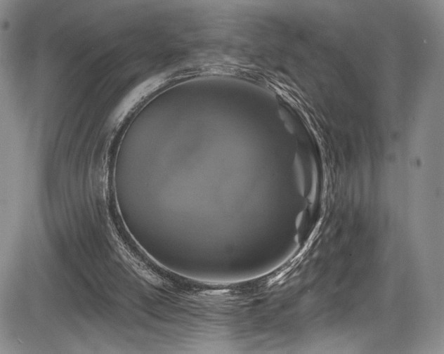 X0000084050054200702161517