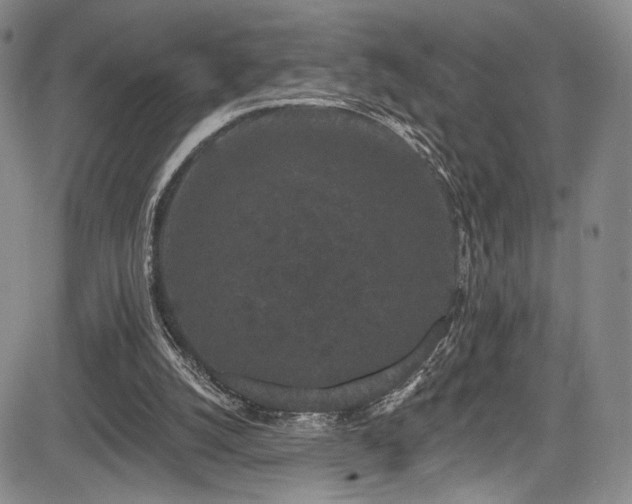 X0000084050056200702161517