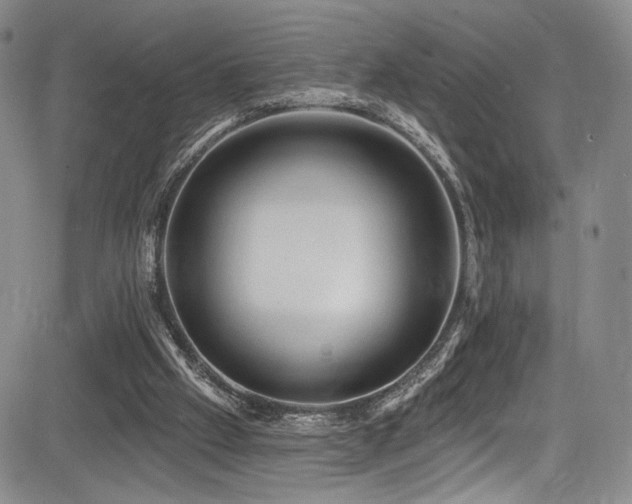 X0000084050057200702161517