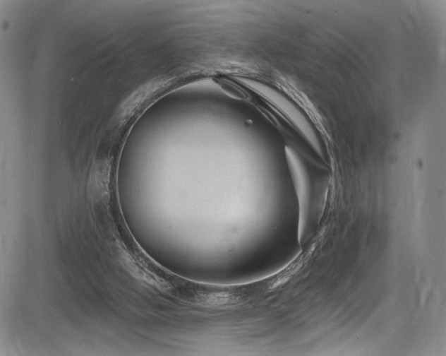 X0000084050058200702161517